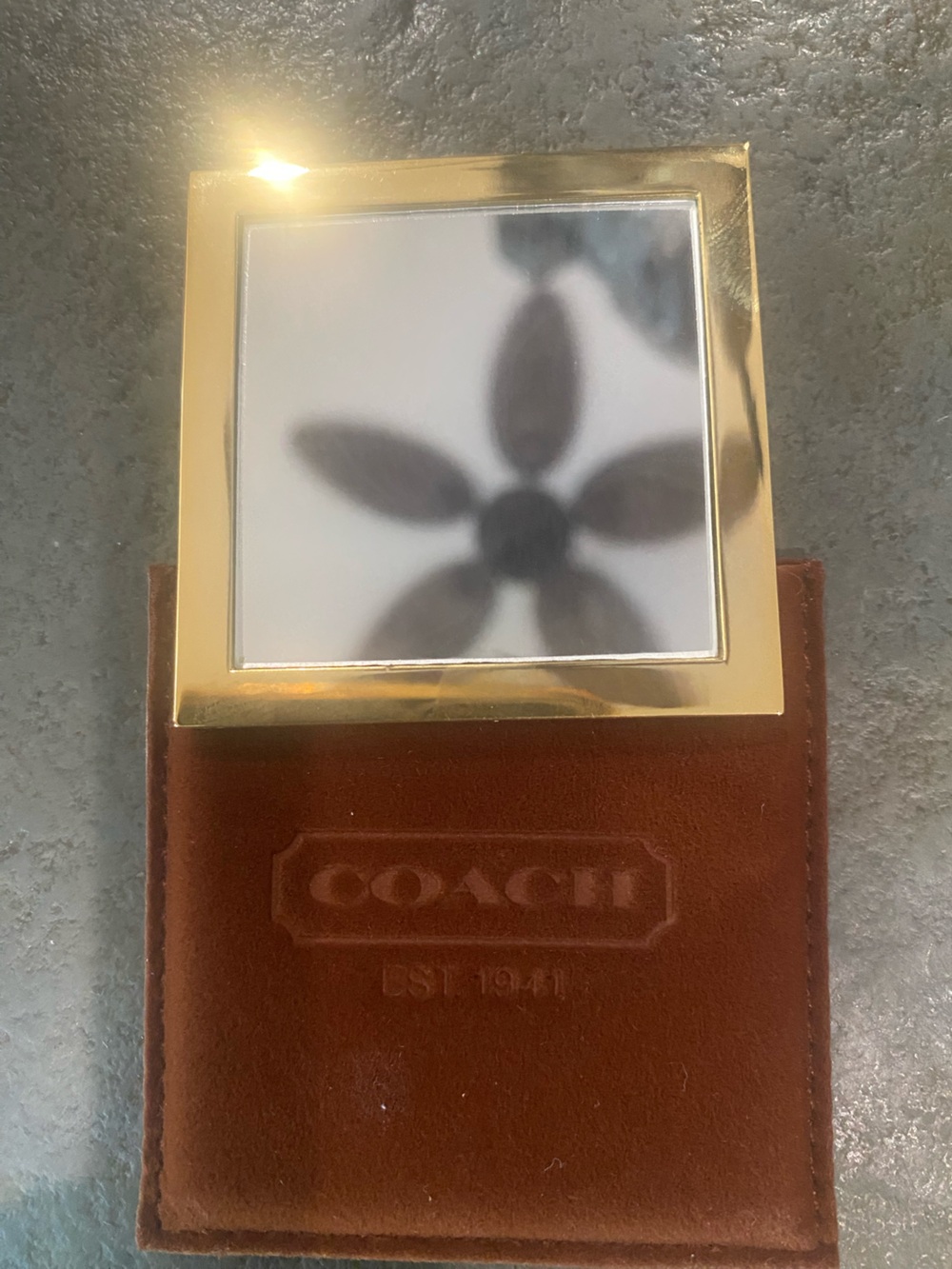 Coach Gold-Tone Mirror with Brown Suede Case